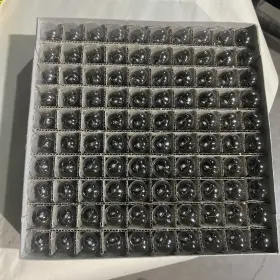 Pl-1152 Ancor Box Of 100 Pl1152 Bayonet Bulbs