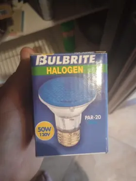683753 Bulbrite Par30 120v 75w Blue #2