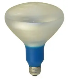 1000231 Bulbsandbatteries Replacement Bulb For Ushio 500w 120v