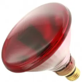 13933 Bulbsandbatteries 2 Replacement Bulb For Sylvania 100w 120v