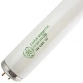 43321ge Bulbsandbatteries 2 Replacement Bulb For Light / Lamp 34w