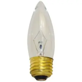 60b10 Bulbsandbatteries 60b10/fan/cb/cd2 10 Replacement Bulb For Westinghouse / Camelion 60w 120v