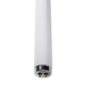 Bulbsandbatteries F34/cw/rs/ew/alto Replacement For Plz Replaced By Philips And Others Bulbsandbatteries F34/cw/rs/ew/alto Replacement For Plz Replaced By Philips And Others