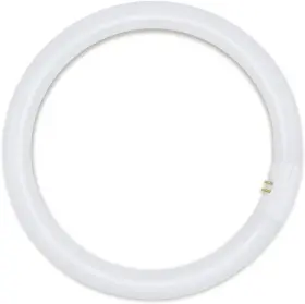 Fc8t9 Bulbsandbatteries Fc8t9/daydlx Replacement For Philips And Others - Each Pieces