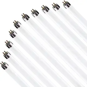 F17t8-850-10 Circle 10 Pack F17t8/841 17w 24 Inch Count Of 1 4100k Cool White