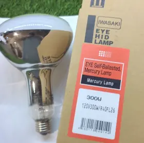 120v300w Eye 120v300w/r40fl26 Self-ballasted Lamp 300w 120v R40fl26 Specialty Bulb