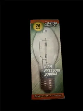 Lu70 Feit Electric 017801006599 High Pressure Sodium Bulb