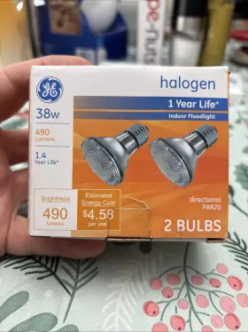 40724 Ge Lighting Par20 38w Indoor Floodlight Bulb 490 Lumens Bright 2 Bulbs