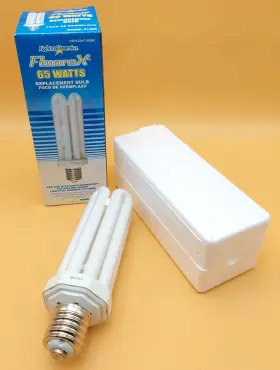 9166b Lights Of America Fluorex 65 Watts Daylight 6500k Replacement Bulb Model
