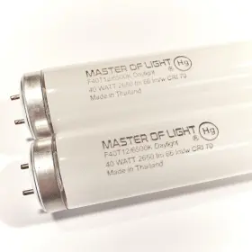 Mol006 Master Of Light F40/d Daylight 2 Pack 4ft Fluorescent Tube Bulb 40w 40 Watt