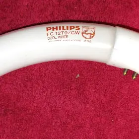 12t9 Philips 12t9/cw Fc Circular Fluorescent Lamp Cool White Light Bulb