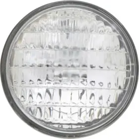 4461c1 Philips 4461 12.8v 60w - 1 Each