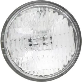 7613c1 Philips 7613 6v 8w - 1 Each