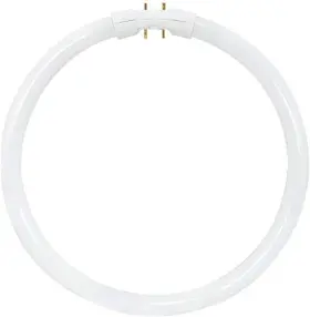 2gx13 Satco S8162 3500k 55-watt T5 Circline High 1 Count Pack Of Color 2gx13 Satco S8162 3500k 55-watt T5 Circline High 1 Count Pack Of Color