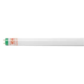 F32t8tl Shat-r-shield F32t8tl/841/hv/alto Fluorescent 32 W T8 Medium Bi-pin G13 8pk79 F32t8tl Shat-r-shield F32t8tl/841/hv/alto Fluorescent 32 W T8 Medium Bi-pin G13 8pk79