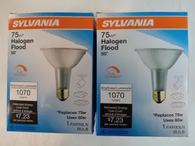 30ln Sylvania 046135182532 Lot Of 2 60w Replaces 75w Halogen Flood Bulbs Par New