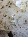 Cec Industries #7443 Bulbs, 12/12V, 21/5 W, W3X16Q Base, T-6.5 Shape (1). Fixed Price $9.99.