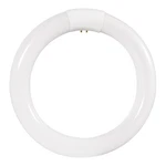 Sylvania FC8T9 22W 8IN 6500K Daylight 900LM G10Q Circline Fluorescent Bulb. Fixed Price $11.99.