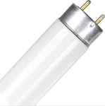 Case Of 24 - Ge F17T8/XL/SPX65/ECO 17W Fluorescent 6500K. Fixed Price $360.00.