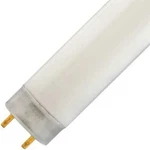 Sylvania FO17/950/24" Octron T8 Fluorescent Bulbs - 108 Case. Fixed Price $249.99.