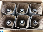 Lot Of 6 - Ge 13250 LU100/MED Lucalox High Pressure Sodium Bulbs (5890). Fixed Price $29.99.