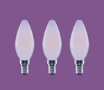 Ecosmart Frosted Glass 60W Equivalent Dimmable Led Vintage Light Bulbs 3-PACK Nw. Fixed Price $10.00.