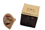Projector Lamp -ewf 200W 24V -sylvania. Fixed Price $25.00.