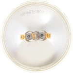 Phillips 4413C1 Standard Sealed Beam Headlight Bulb. Fixed Price $22.99.
