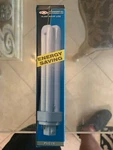 Cxl PLC26/E 4PIN G24Q-3 Base 3500K Compact Fluorescent Lamp Watt Light Bulbs. Fixed Price $7.00.