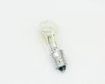 Lot Of 10 25S6 Ge Lamp. Fixed Price $39.99.