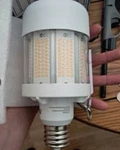 Ge Corn Light (38497) LED60/2M175/835 Bulbs). Fixed Price $20.00.