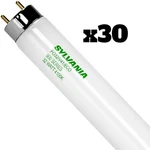 (30) Led Vance/sylvania T8 Bulbs FO32/841/ECO Medium Bi-pin 4100K White. Fixed Price $129.99.