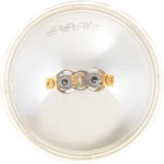 Headlight Bulb Philips 4413C1. Fixed Price $19.44.