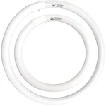 FC12T9/CW 32W And FC16T9/CW 40W Cool White Set Round Fluorescent Light Bulb 1.... Fixed Price $52.72.