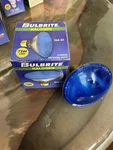 Bulbrite PAR30 120V 75W Blue. Fixed Price $20.00.