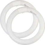 FC8T9 Cw Cool White Circular Fluorescent Light Bulb Round Watt. Fixed Price $29.24.