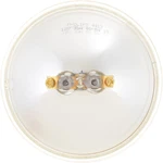 Headlight Bulb Philips 4419C1. Fixed Price $14.43.