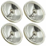 Industrial Performance 4515, 30 Watt, PAR36, 2 Screw Terminals Base Light Bul.... Fixed Price $34.23.