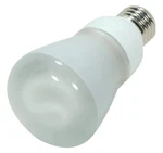 Satco S7254 New 11R20/E26/2700K/120V/1PK. Fixed Price $10.99.