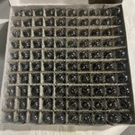 Box Of 100 Pl 1229 Ancor Bayonet Base Miniature Light Bulbs. Fixed Price $50.00.