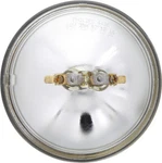 Headlight Bulb Philips 4436C1. Fixed Price $10.80.