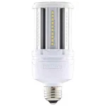 Satco S49393 - 45 Watt Corncob Led Hid Replacement 5000K (1, 2, 6 Pack). Fixed Price $317.94.