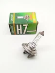H7 Greenlite 12V 55W Tungsten Halogen Automotive Bulb. Fixed Price $13.79.