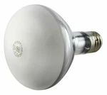 Ge 300R/3FL (21254) Lamp Bulb Replacement. Fixed Price $17.14.